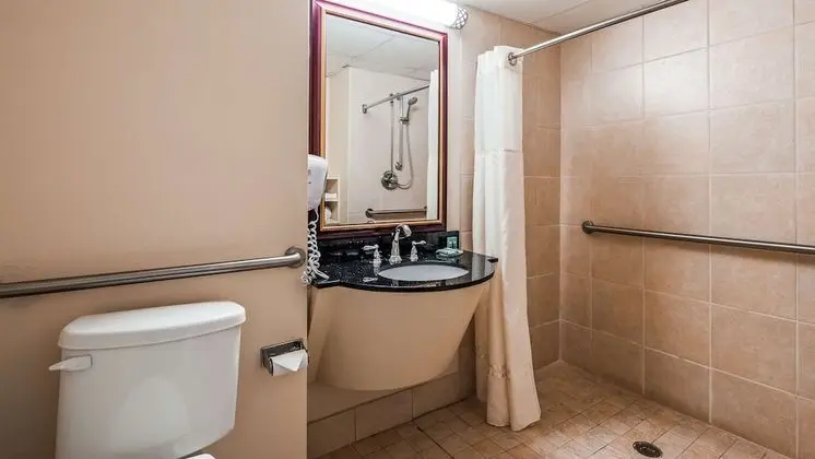 Standard Oda, 2 Büyük (Queen) Boy Yatak, Engellilere Uygun, Buzdolabı ve Mikrodalga