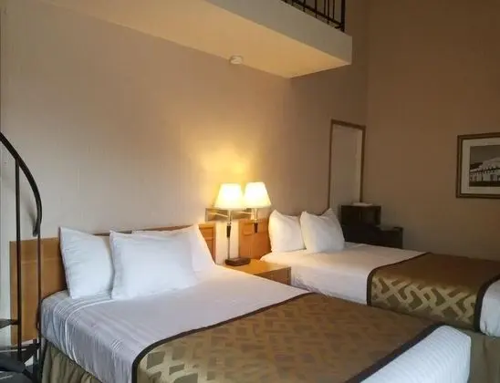 Basic Çatı Katı (Loft), Birden Çok Yatak, Mutfak