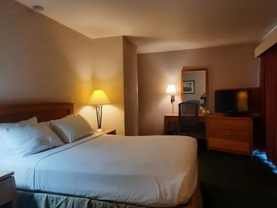 Çatı Katı (Loft)