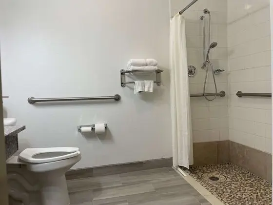 Standard Oda, 1 En Büyük (King) Boy Yatak, Engellilere Uygun, Sigara İçilmez
