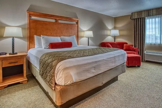 Standard Oda, 1 En Büyük (King) Boy Yatak, Engellilere Uygun, Sigara İçilmez