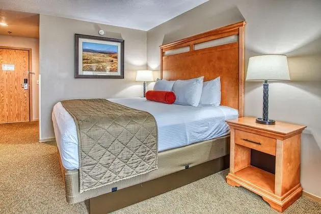 Standard Oda, 1 En Büyük (King) Boy Yatak, Engellilere Uygun, Sigara İçilmez