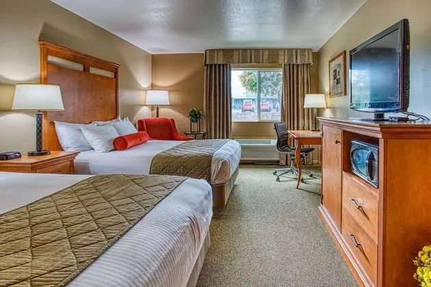 Süit, 2 Büyük (Queen) Boy Yatak, Sigara İçilmez, Buzdolabı ve Mikrodalga