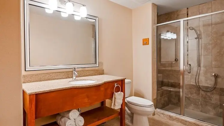 Süit, 1 En Büyük (King) Boy Yatak, Sigara İçilmez (Shower Only;with Sofabed)