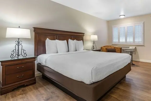 Standard Oda, 1 En Büyük (King) Boy Yatak, Sigara İçilmez, Sıcak Su Küveti (Oversized Room)
