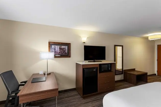 Standard Oda, 1 En Büyük (King) Boy Yatak, Sigara İçilmez (Pet Friendly)