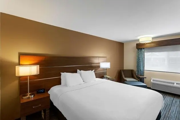 Standard Oda, 1 En Büyük (King) Boy Yatak, Sigara İçilmez (Pet Friendly)