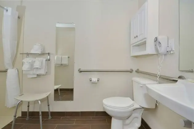 Standard Oda, 2 Çift Kişilik Yatak, Sigara İçilmez, Buzdolabı ve Mikrodalga (Pet Friendly)