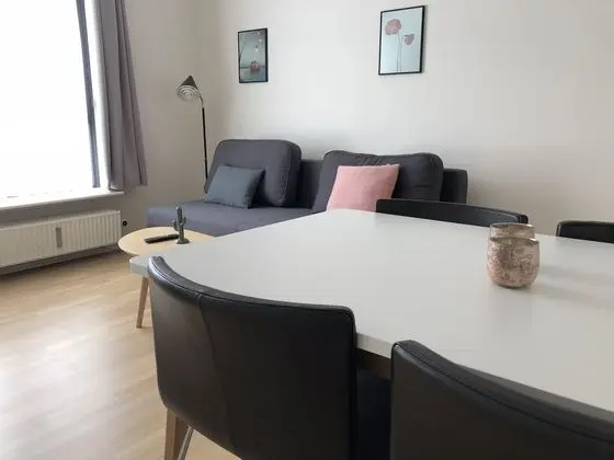 Standard Oda, 1 En Büyük (King) Boy Yatak ve Çekyat, Sigara İçilmez, Mutfak (with Sofabed)
