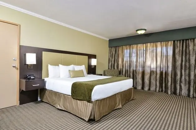 Standard Oda, 1 En Büyük (King) Boy Yatak, Engellilere Uygun, Sigara İçilmez (Walk-in Shower)