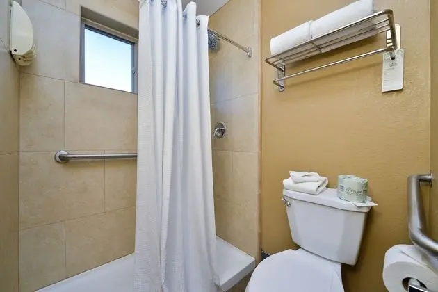 Standard Oda, 1 En Büyük (King) Boy Yatak, Engellilere Uygun, Sigara İçilmez (Walk-in Shower)