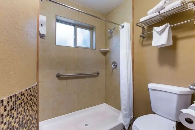 Standard Oda, 1 En Büyük (King) Boy Yatak, Engellilere Uygun, Sigara İçilmez (Walk-in Shower)