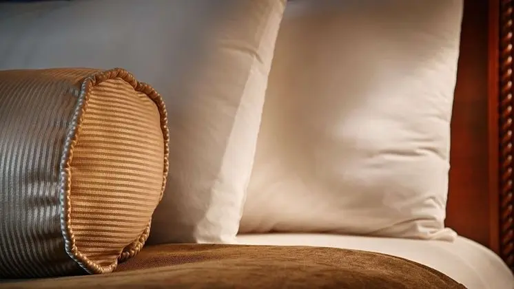 Standard Oda, 1 Büyük (Queen) Boy Yatak, Engellilere Uygun, Sigara İçilmez (Pet Friendly)