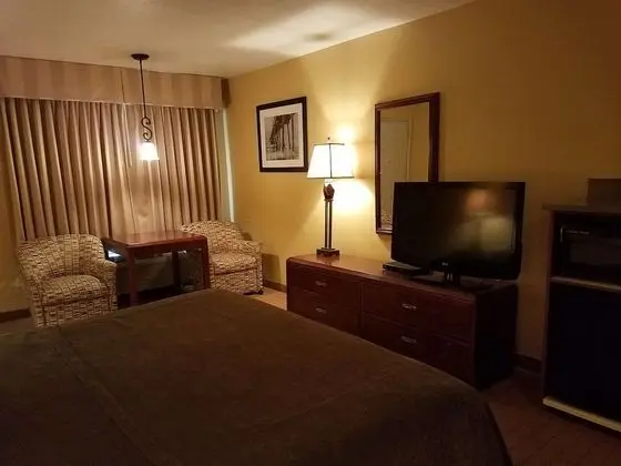 Süit, 1 En Büyük (King) Boy Yatak, Sigara İçilmez, Buzdolabı ve Mikrodalga