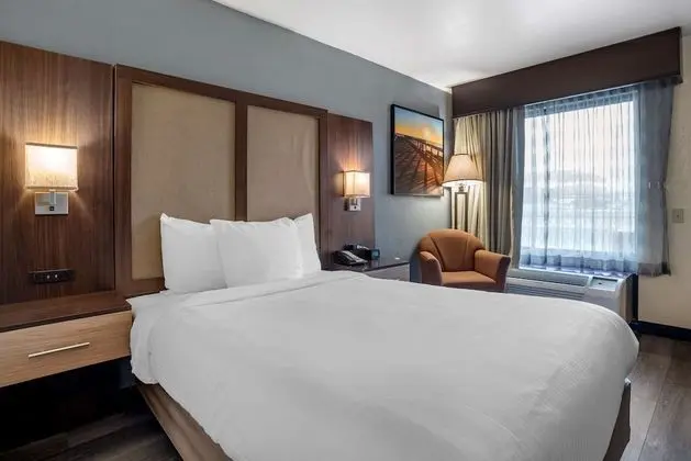 Standard Oda, 1 En Büyük (King) Boy Yatak, Sigara İçilmez, Buzdolabı ve Mikrodalga (Pet Friendly)