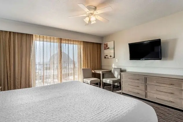 Standard Oda, 1 En Büyük (King) Boy Yatak, Sigara İçilmez, Balkon