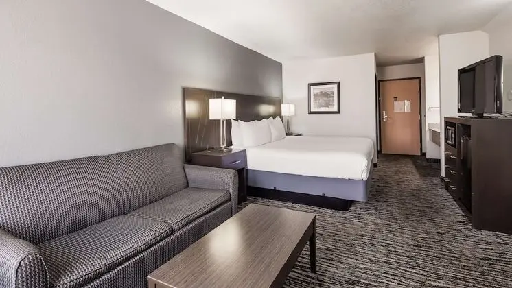 Standard Oda, 1 En Büyük (King) Boy Yatak, Sigara İçilmez, Buzdolabı (Pet Friendly)