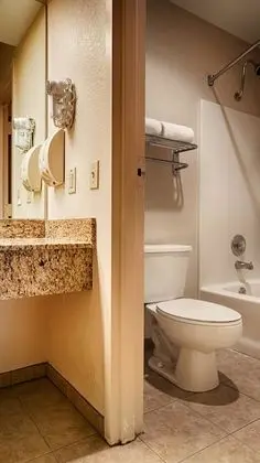 Standard Oda, 1 En Büyük (King) Boy Yatak, Sigara İçilmez, Buzdolabı ve Mikrodalga (Pet Friendly)