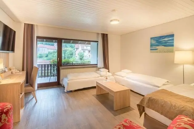 Standard Apart Daire, Birden Çok Yatak (with Sofabed)