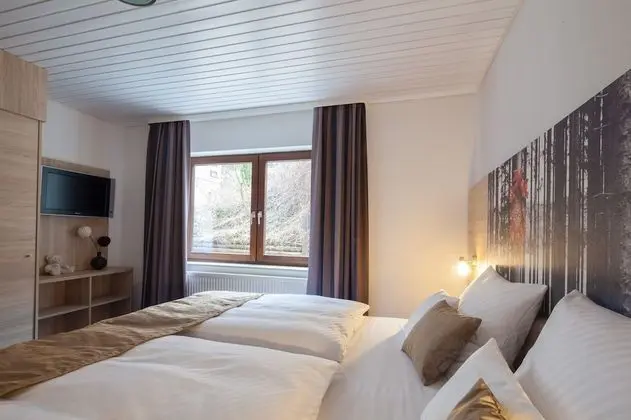 Standard Apart Daire, Birden Çok Yatak (with Sofabed)