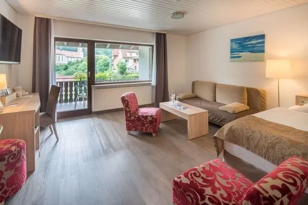 Standard Apart Daire, Birden Çok Yatak (with Sofabed)