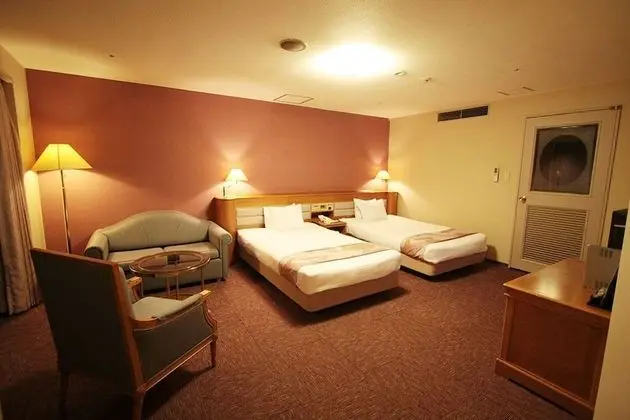 Deluxe İki Ayrı Yataklı Oda, Sigara İçilebilir