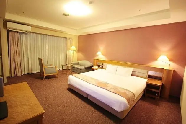 Deluxe Tek Büyük Yataklı Oda, Sigara İçilebilir