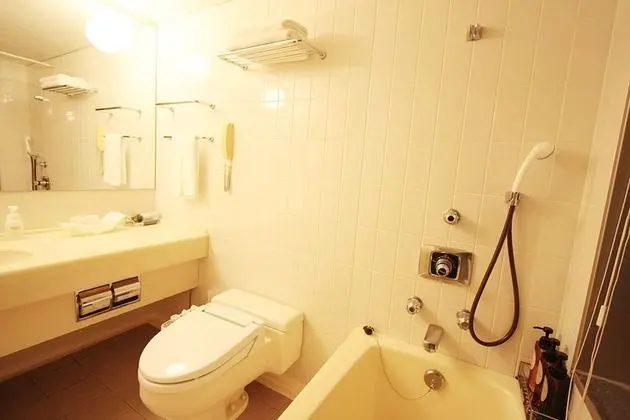 Deluxe Tek Büyük Yataklı Oda, Sigara İçilmez