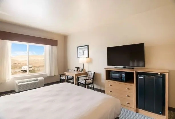 Standard Oda, 1 En Büyük (King) Boy Yatak, Sigara İçilmez, Buzdolabı ve Mikrodalga