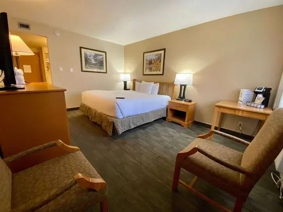 Standard Oda, 1 En Büyük (King) Boy Yatak, Sigara İçilmez (Pet Friendly)