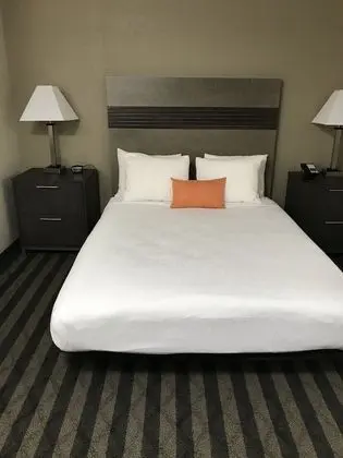 Standard Oda, 1 Büyük (Queen) Boy Yatak, Engellilere Uygun, Sigara İçilmez (Walk-in Shower)