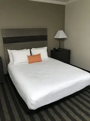 Standard Oda, 1 Büyük (Queen) Boy Yatak, Engellilere Uygun, Sigara İçilmez (Walk-in Shower)