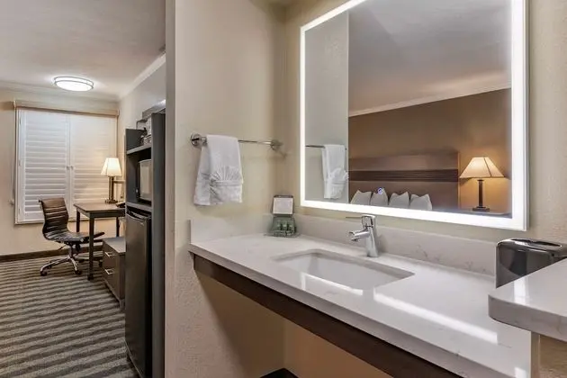 Standard Oda, 1 Büyük (Queen) Boy Yatak, Engellilere Uygun, Sigara İçilmez (Walk-in Shower)