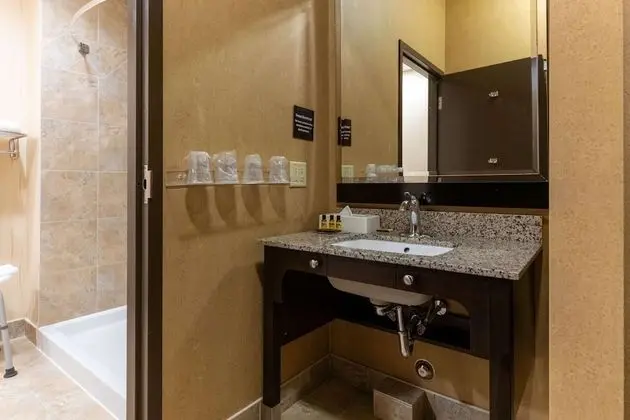 Standard Oda, 1 En Büyük (King) Boy Yatak, Engellilere Uygun (Walk-in Shower)