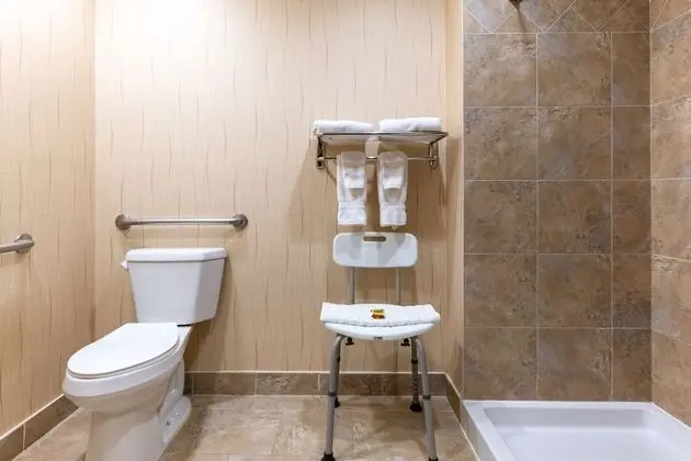 Standard Oda, 1 En Büyük (King) Boy Yatak, Engellilere Uygun (Walk-in Shower)