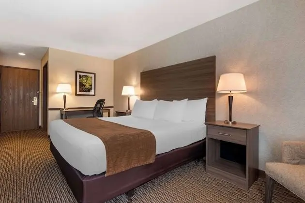 Standard Oda, 1 En Büyük (King) Boy Yatak, Sigara İçilmez, Buzdolabı ve Mikrodalga