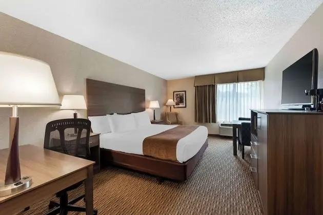 Standard Oda, 1 En Büyük (King) Boy Yatak, Sigara İçilmez, Buzdolabı ve Mikrodalga