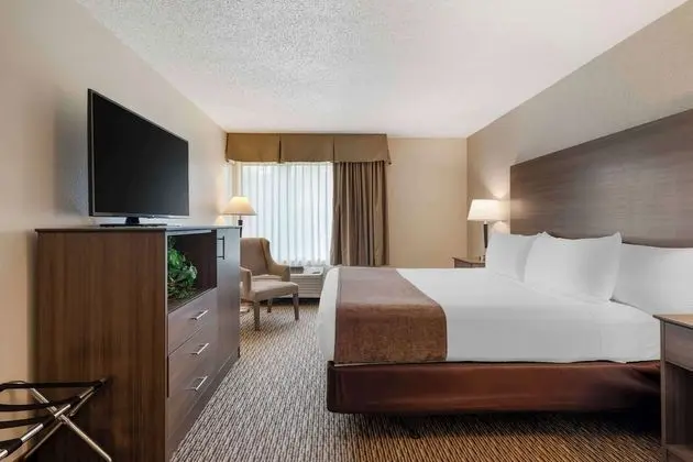 Süit, 1 En Büyük (King) Boy Yatak, Sigara İçilmez, Mutfak (Living Room;with Sofabed)