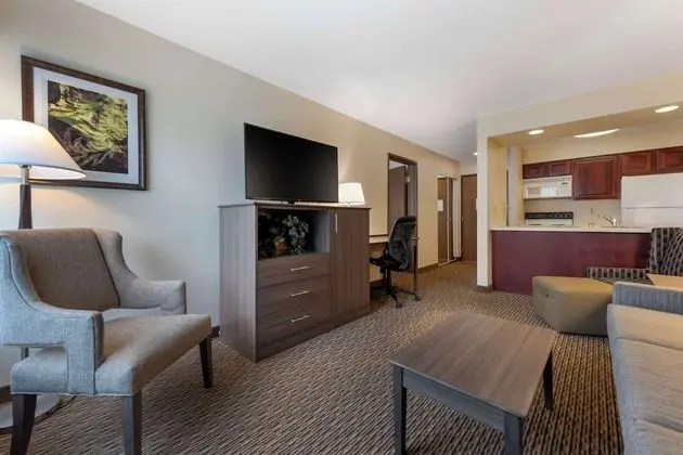 Süit, 1 En Büyük (King) Boy Yatak, Sigara İçilmez, Mutfak (Living Room;with Sofabed)