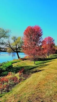 Süit, 1 En Büyük (King) Boy Yatak, Sigara İçilmez, Mutfak (Living Room;with Sofabed)