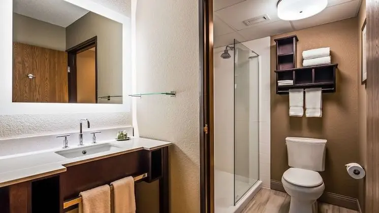 Standard Oda, 1 En Büyük (King) Boy Yatak ve Çekyat, Sigara İçilmez (with Sofabed)