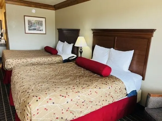 Standard Oda, 2 Çift Kişilik Yatak