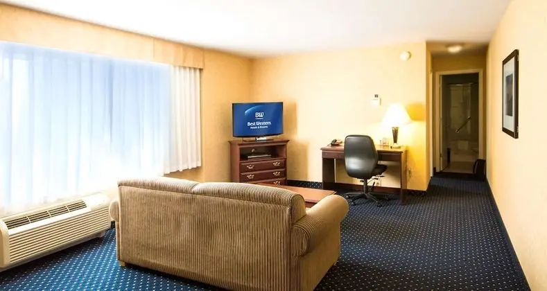 Standard Apart Daire, 1 Yatak Odası, Sigara İçilmez, Küçük Mutfak (Living Room;with Sofabed)