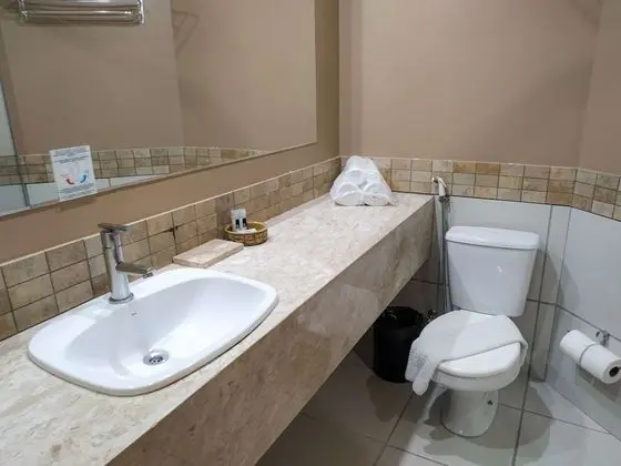 Deluxe Oda, Birden Çok Yatak, Sigara İçilmez