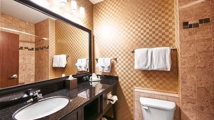 Standard Oda, 1 En Büyük (King) Boy Yatak, Sigara İçilmez, Buzdolabı ve Mikrodalga