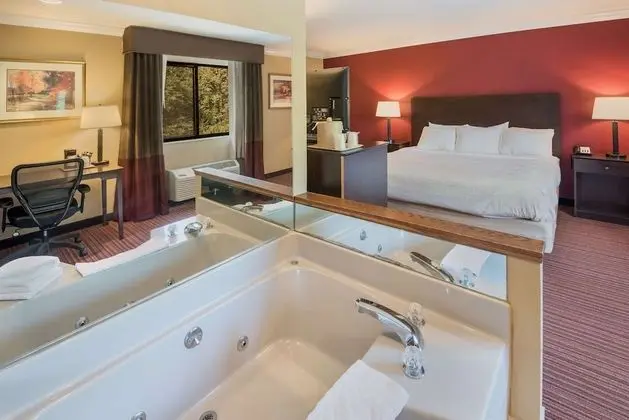 Standard Oda, 1 En Büyük (King) Boy Yatak, Sigara İçilmez, Sıcak Su Küveti (Oversized Room)