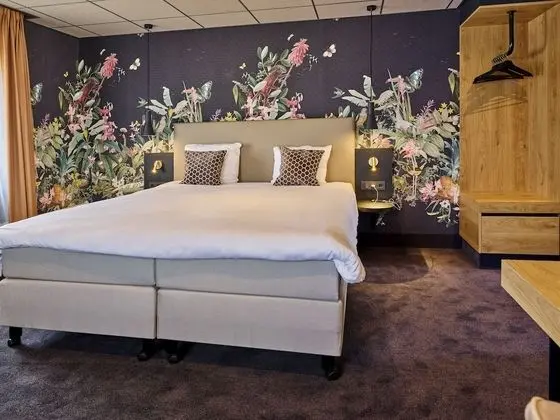 Stüdyo Süit, 1 En Büyük (King) Boy Yatak