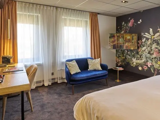 Stüdyo Süit, 1 En Büyük (King) Boy Yatak