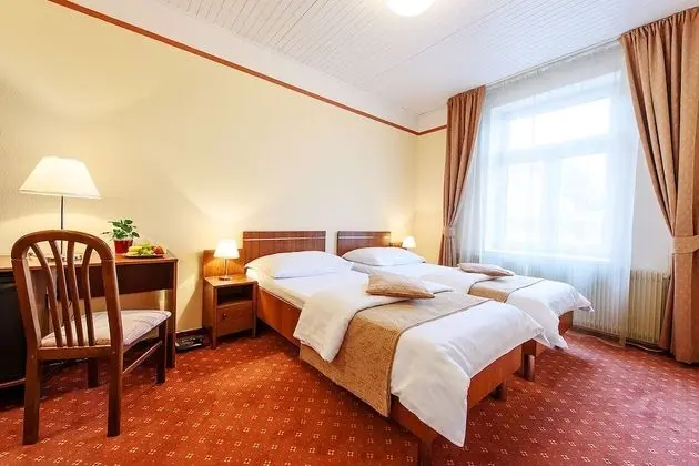 Standard Tek Büyük veya İki Ayrı Yataklı Oda, Şehir Manzaralı