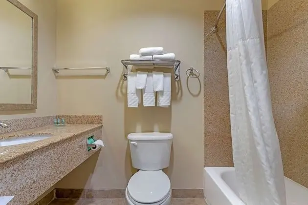 Standard Oda, 2 Büyük (Queen) Boy Yatak, Sigara İçilmez, Buzdolabı ve Mikrodalga